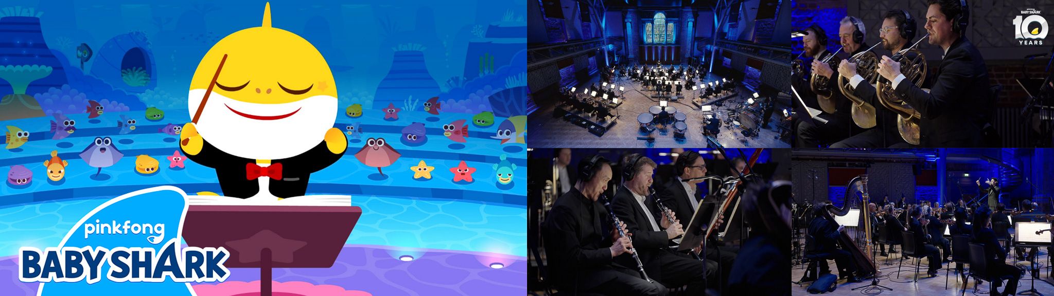 아기상어 LSO.jpg